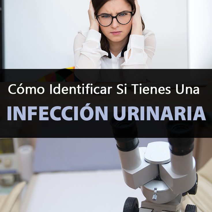 como-identificar-una-infeccion-urinaria - La Guía de las como-identificar-una-infeccion-urinaria - La Guía de las