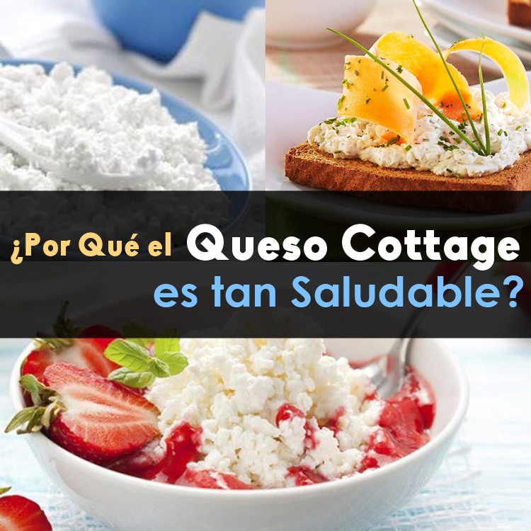 Lista 97+ Foto con que se come el queso cottage Lleno