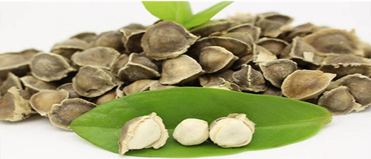 7 Beneficios De La Semilla De Moringa Para Tu Salud - La Guía de las