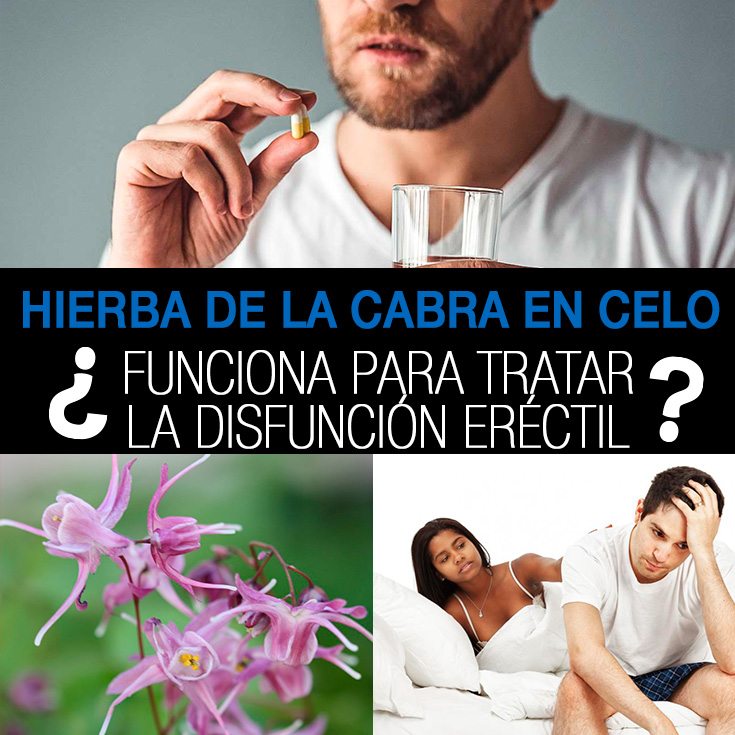 ¿La hierba de la cabra en celo funciona para tratar la ¿La hierba de la cabra en celo funciona para tratar la