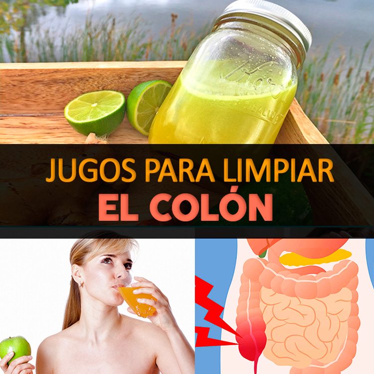 Hierbas para Limpiar el Colon Naturalmente: Una Guía Completa