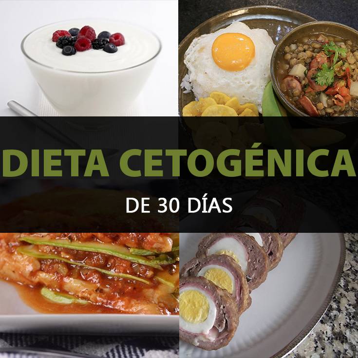 dieta cetosis puede comer yogurt dieta cetosis puede comer yogurt
