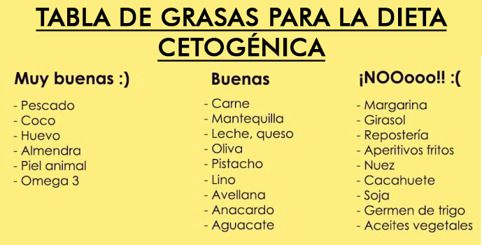 La Dieta Cetogénica Paso a Paso: Guía Para Principiantes La Dieta Cetogénica Paso a Paso: Guía Para Principiantes