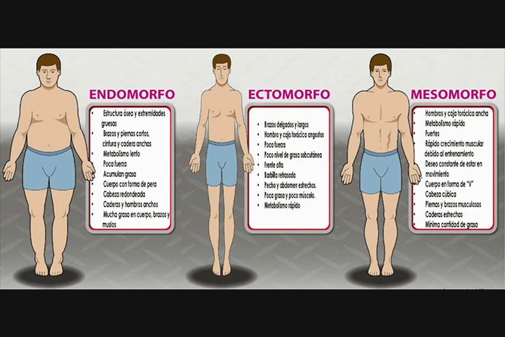 Dieta Para Un Ectomorfo Para Ganar Volumen: De Flaco a Musculoso - La