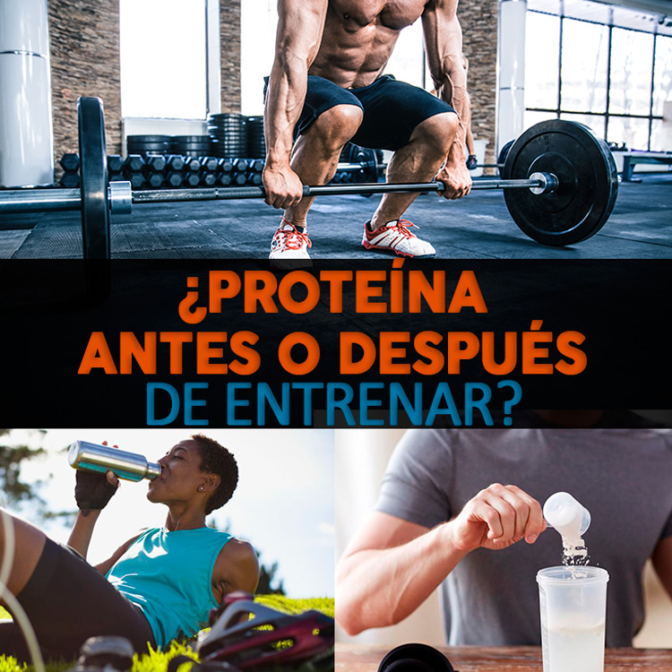 Mejor proteina para entrenar Mejor proteina para entrenar