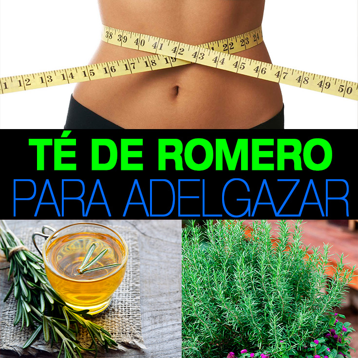 Uso del romero para adelgazar